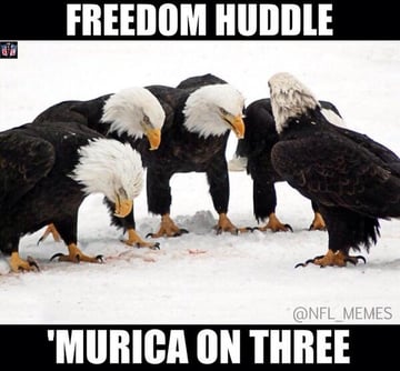 4th of july greetings and templates - murica meme