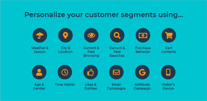 how to use a CRM tips - audience segmentation examples